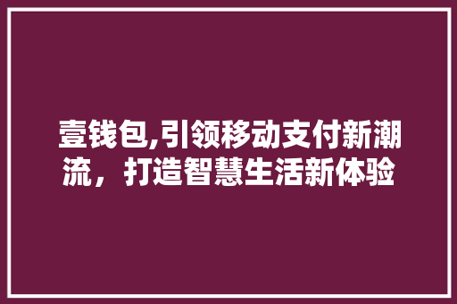 壹钱包,引领移动支付新潮流，打造智慧生活新体验