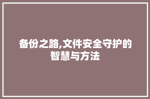 备份之路,文件安全守护的智慧与方法