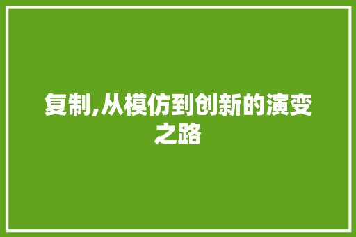 复制,从模仿到创新的演变之路