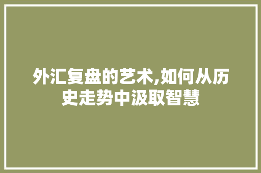 外汇复盘的艺术,如何从历史走势中汲取智慧