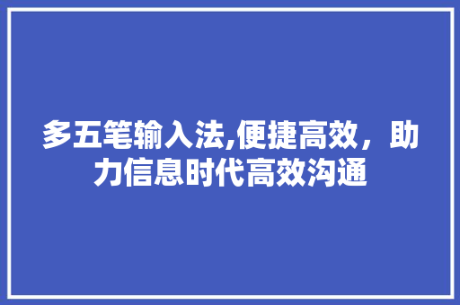 多五笔输入法,便捷高效，助力信息时代高效沟通