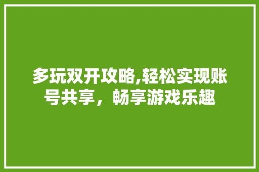 多玩双开攻略,轻松实现账号共享，畅享游戏乐趣 SEO教程