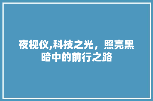 夜视仪,科技之光，照亮黑暗中的前行之路