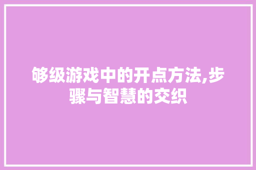 够级游戏中的开点方法,步骤与智慧的交织