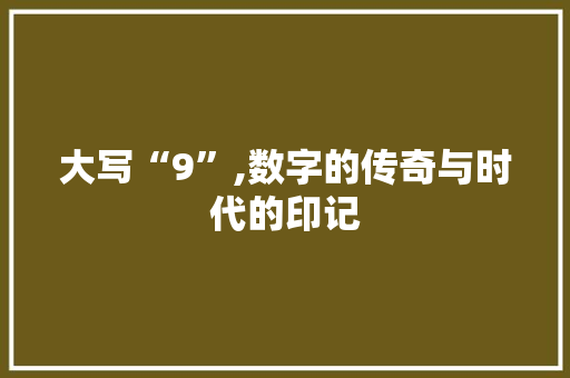 大写“9”,数字的传奇与时代的印记