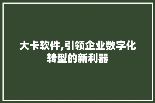 大卡软件,引领企业数字化转型的新利器