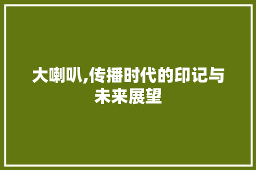 大喇叭,传播时代的印记与未来展望
