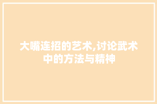 大嘴连招的艺术,讨论武术中的方法与精神