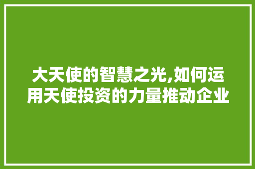 大天使的智慧之光,如何运用天使投资的力量推动企业发展