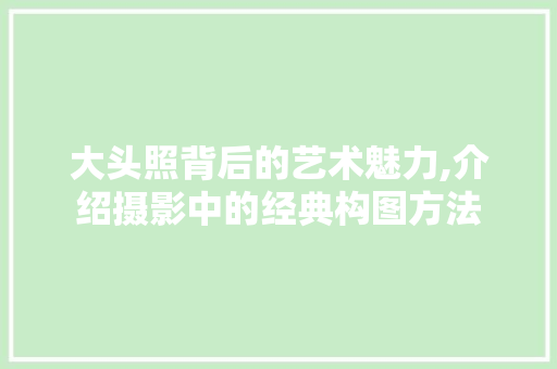 大头照背后的艺术魅力,介绍摄影中的经典构图方法