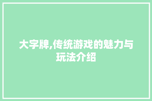 大字牌,传统游戏的魅力与玩法介绍