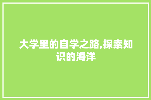 大学里的自学之路,探索知识的海洋