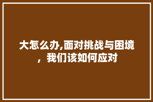 大怎么办,面对挑战与困境，我们该如何应对