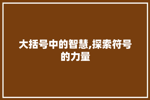 大括号中的智慧,探索符号的力量