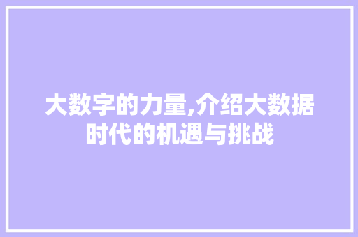大数字的力量,介绍大数据时代的机遇与挑战