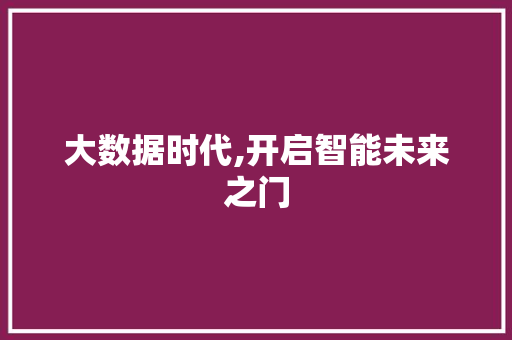 大数据时代,开启智能未来之门