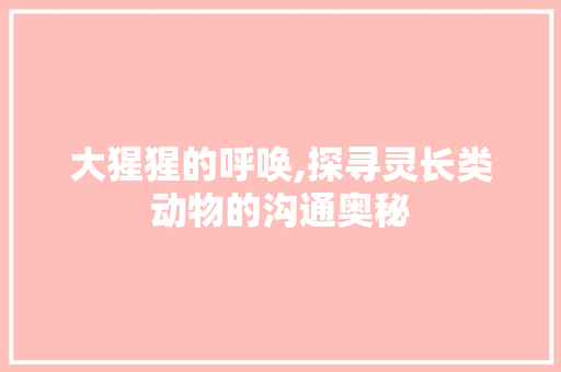 大猩猩的呼唤,探寻灵长类动物的沟通奥秘