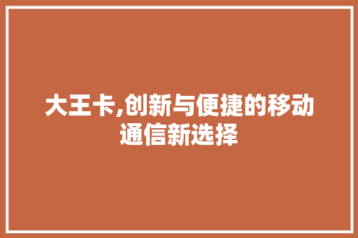 大王卡,创新与便捷的移动通信新选择