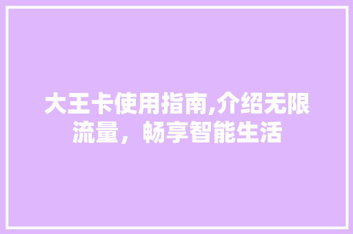 大王卡使用指南,介绍无限流量，畅享智能生活