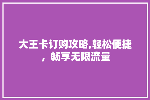 大王卡订购攻略,轻松便捷，畅享无限流量 SEO教程