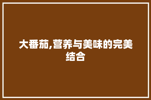 大番茄,营养与美味的完美结合