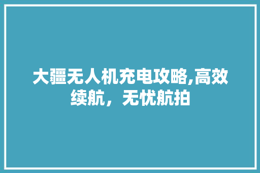 大疆无人机充电攻略,高效续航，无忧航拍