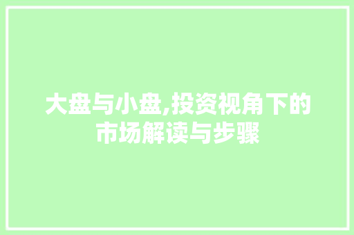 大盘与小盘,投资视角下的市场解读与步骤 Web前端