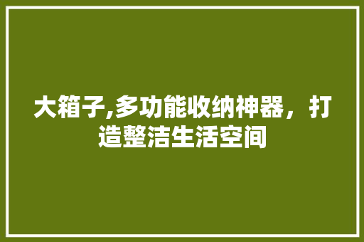 大箱子,多功能收纳神器，打造整洁生活空间