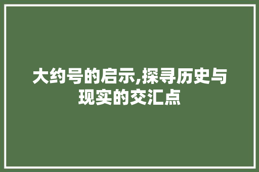 大约号的启示,探寻历史与现实的交汇点 SEO教程