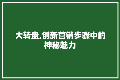 大转盘,创新营销步骤中的神秘魅力 Web前端