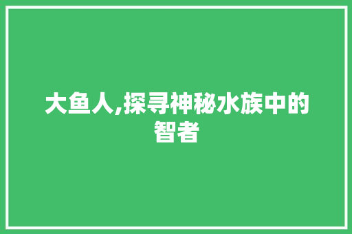 大鱼人,探寻神秘水族中的智者 SEO教程