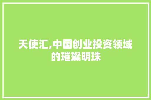 天使汇,中国创业投资领域的璀璨明珠