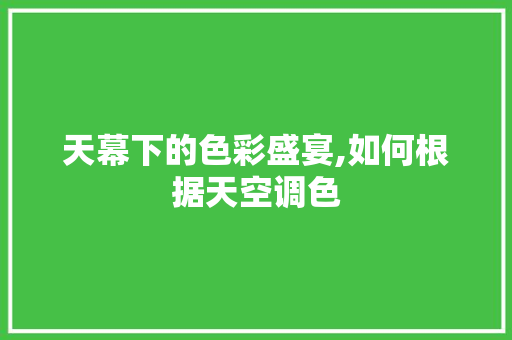 天幕下的色彩盛宴,如何根据天空调色 建站教程