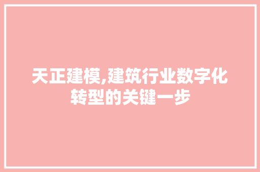 天正建模,建筑行业数字化转型的关键一步 服务器/数据库