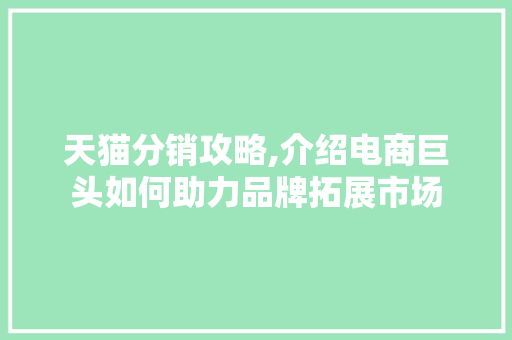天猫分销攻略,介绍电商巨头如何助力品牌拓展市场 SEO教程