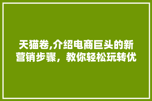天猫卷,介绍电商巨头的新营销步骤，教你轻松玩转优惠风暴！ 服务器/数据库