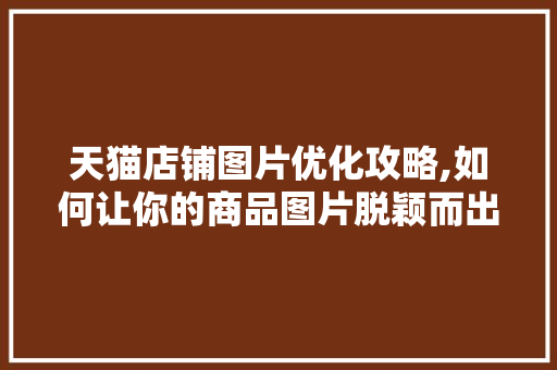 天猫店铺图片优化攻略,如何让你的商品图片脱颖而出