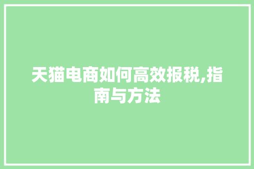 天猫电商如何高效报税,指南与方法