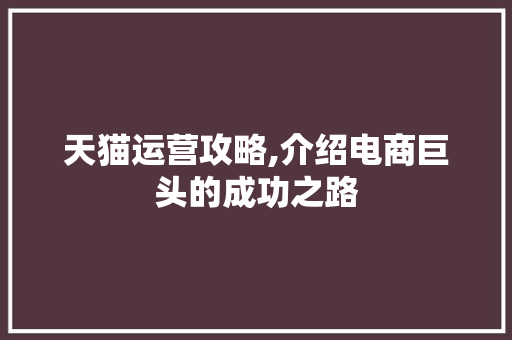 天猫运营攻略,介绍电商巨头的成功之路