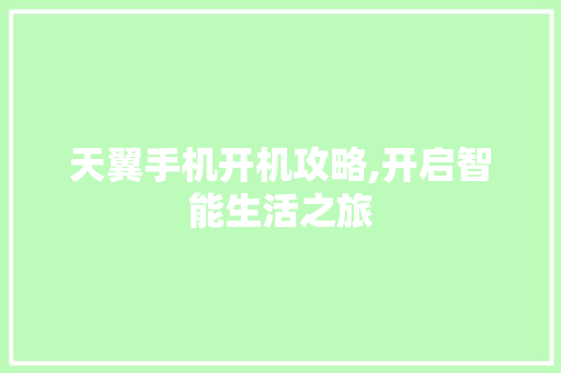 天翼手机开机攻略,开启智能生活之旅 SEO教程