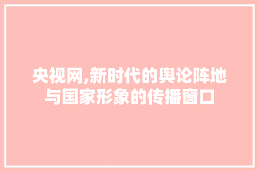 央视网,新时代的舆论阵地与国家形象的传播窗口