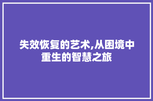 失效恢复的艺术,从困境中重生的智慧之旅