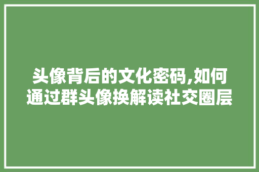 头像背后的文化密码,如何通过群头像换解读社交圈层