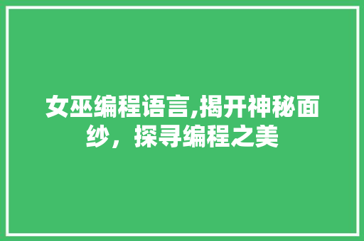 女巫编程语言,揭开神秘面纱，探寻编程之美 建站教程