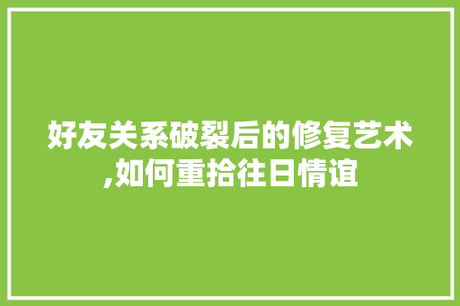 好友关系破裂后的修复艺术,如何重拾往日情谊