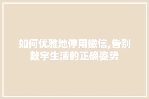 如何优雅地停用微信,告别数字生活的正确姿势