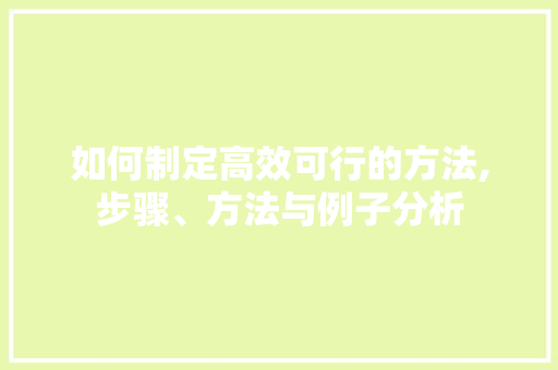 如何制定高效可行的方法,步骤、方法与例子分析