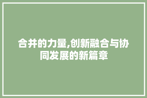 合并的力量,创新融合与协同发展的新篇章 SEO教程
