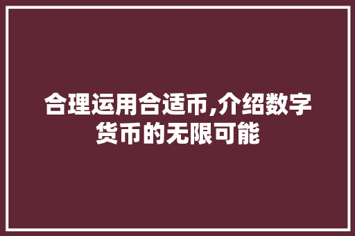 合理运用合适币,介绍数字货币的无限可能