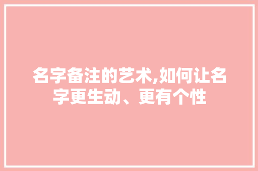 名字备注的艺术,如何让名字更生动、更有个性
